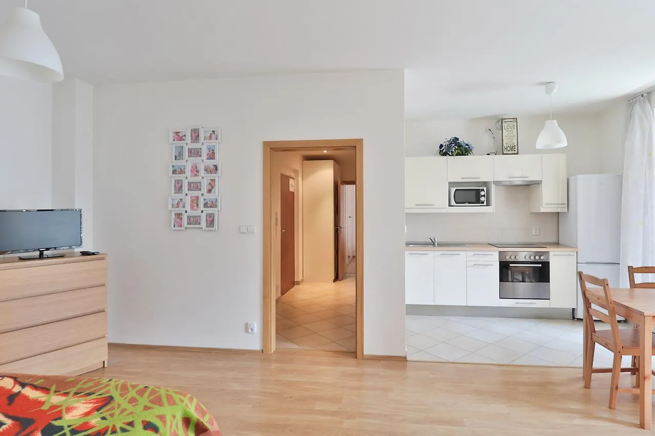 פראג Bright Spacious Apartment צ'כיה