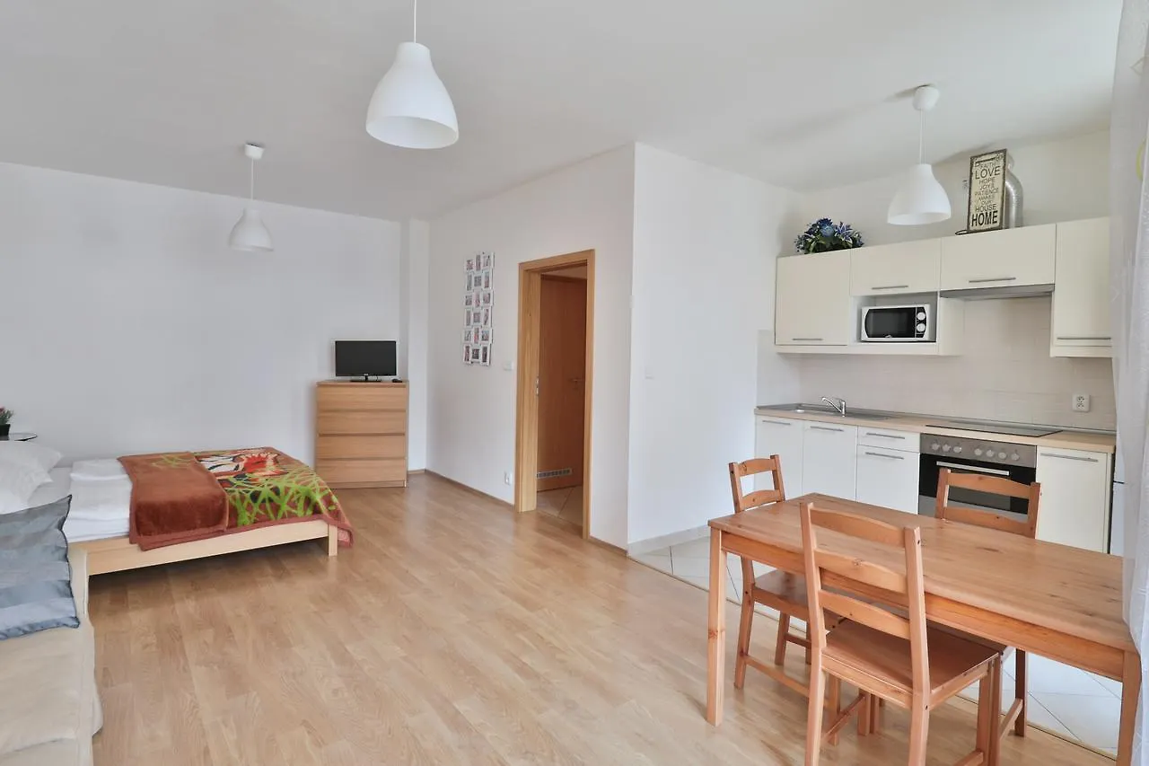 Bright Spacious Apartment Prag 0*,